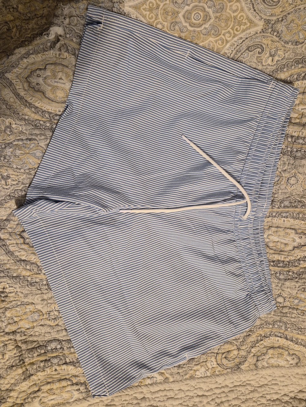 Abercrombie & Fitch Blue and White Striped Cargo Shorts